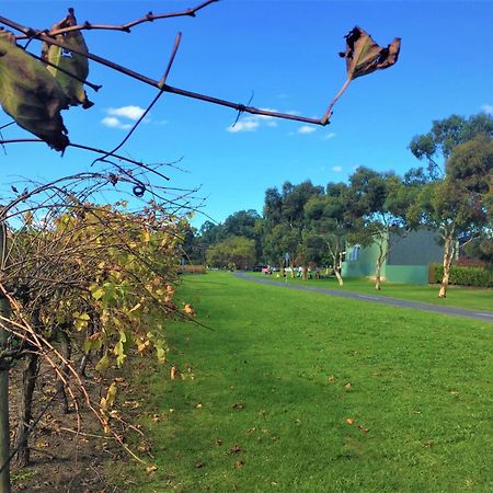 Mclaren Vale Studio Apartments Exterior foto